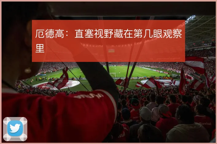 厄德高:直塞视野藏在第几眼观察里